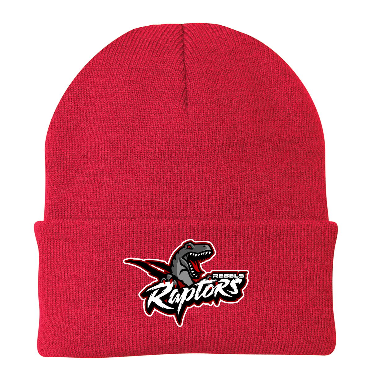 Rebels Raptors Knit Beanie