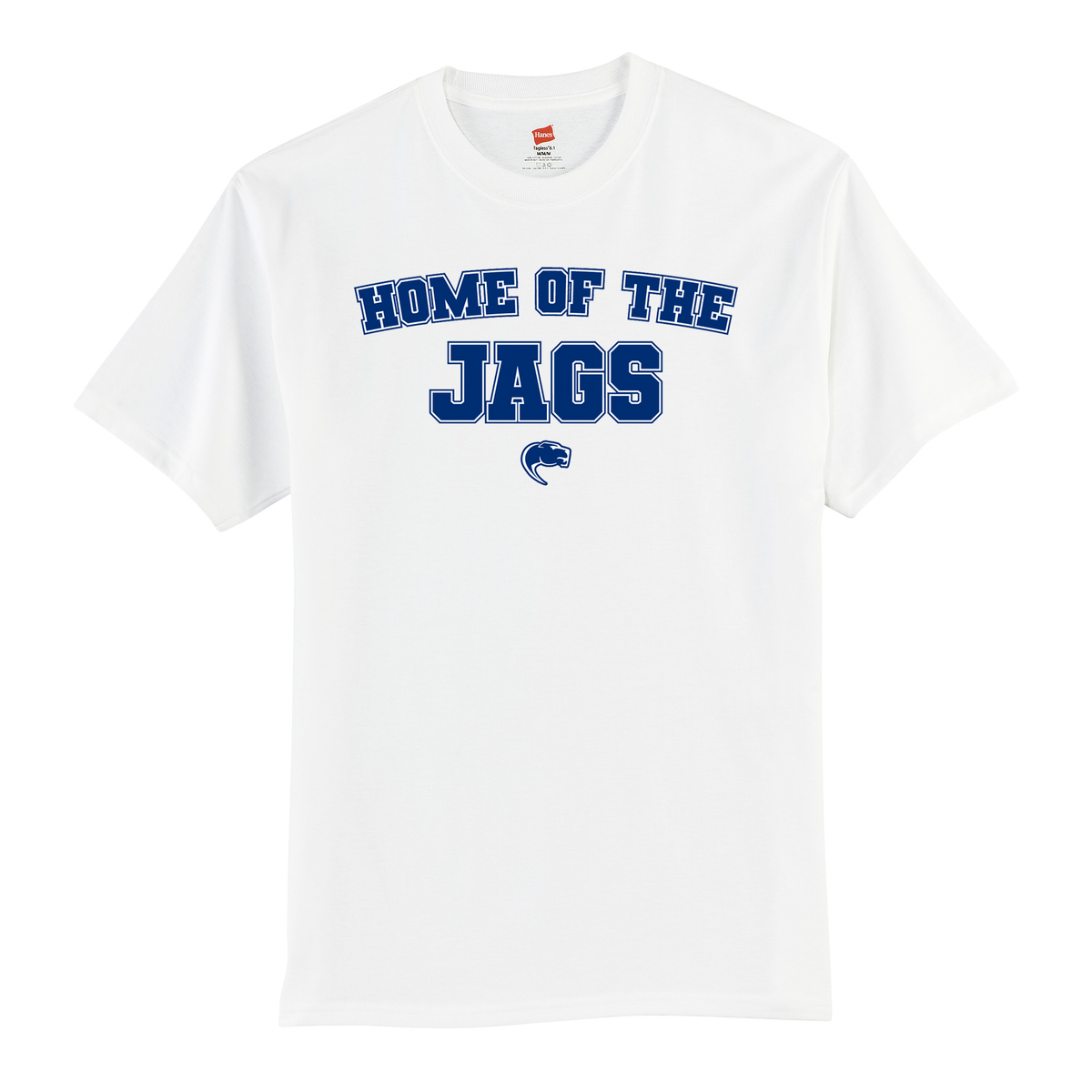 James Irwin Charter Schools T-Shirt