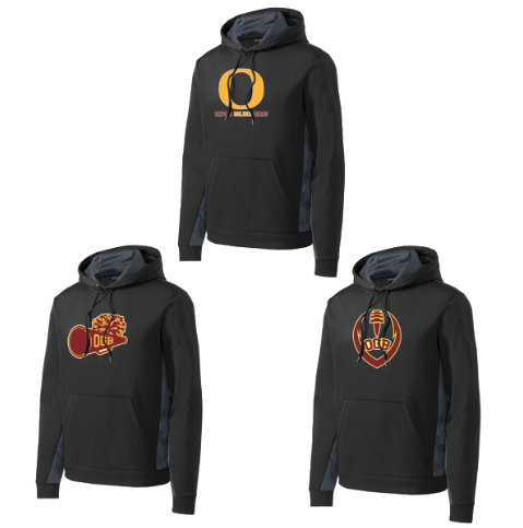 Oxford Golden Bears  Youth Fleece Color Block Hoodie