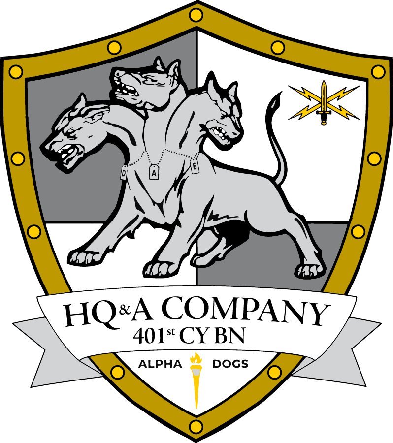 HQ&A 401st Cyber Battalion Team Store