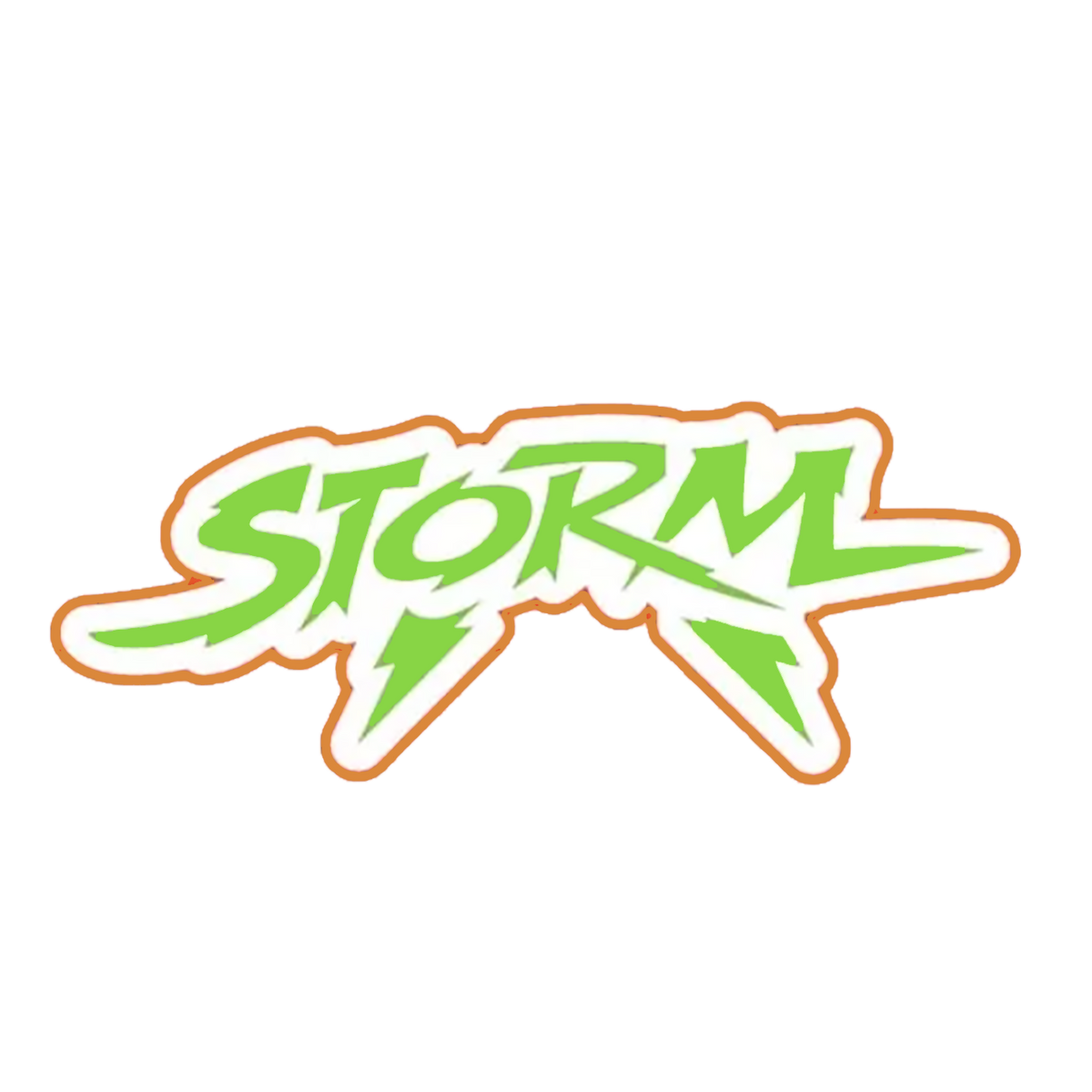 Storm Softball Team Store