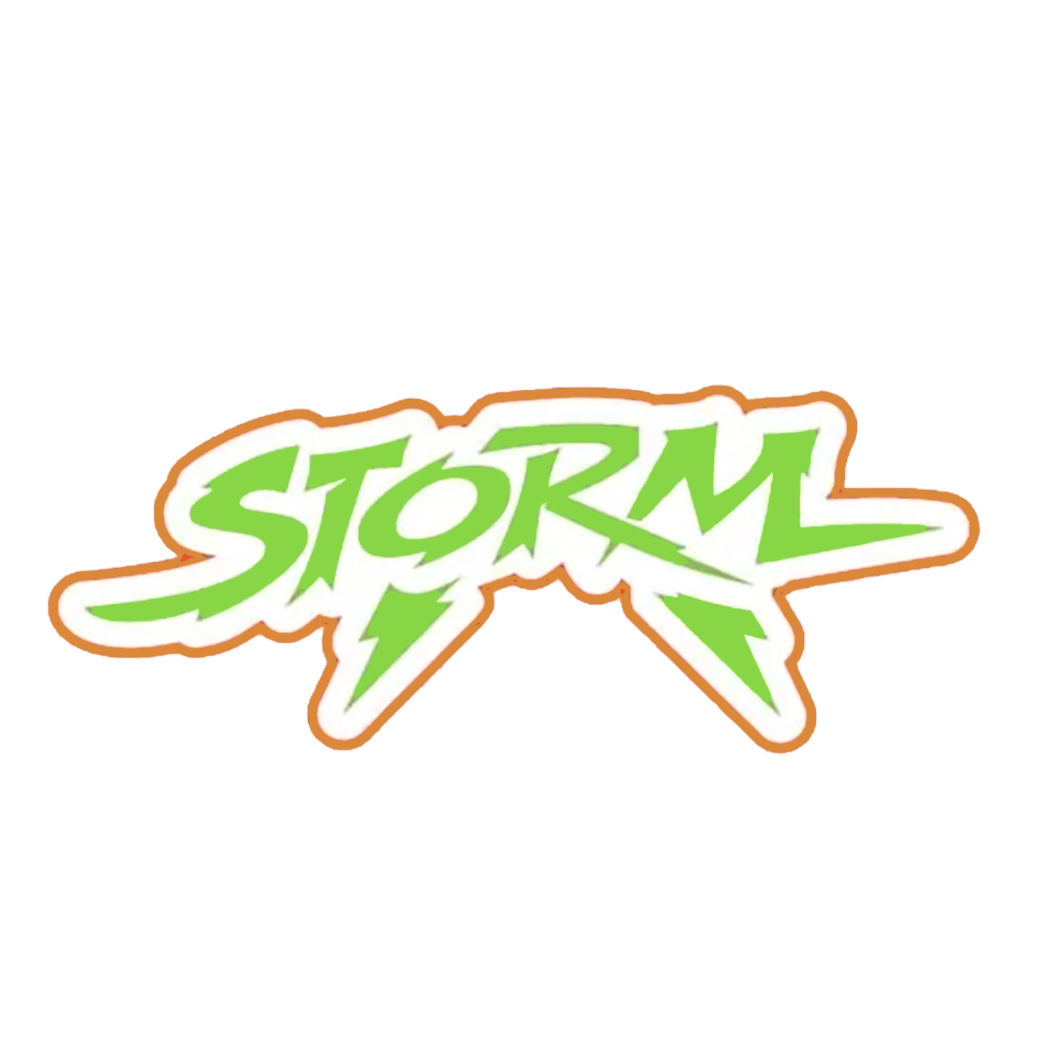 Storm Softball Team Store