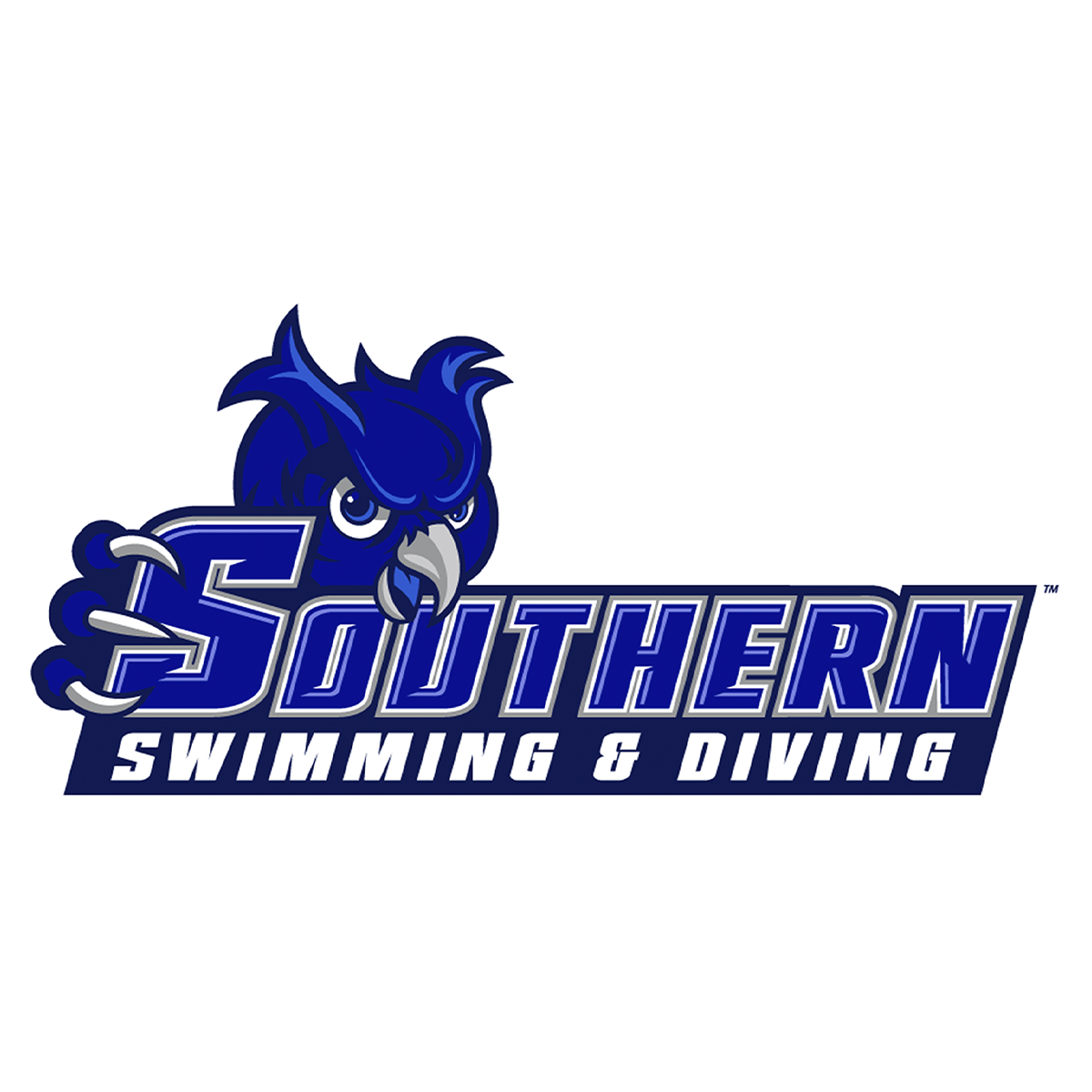 SCSU Swim and Dive Team Store