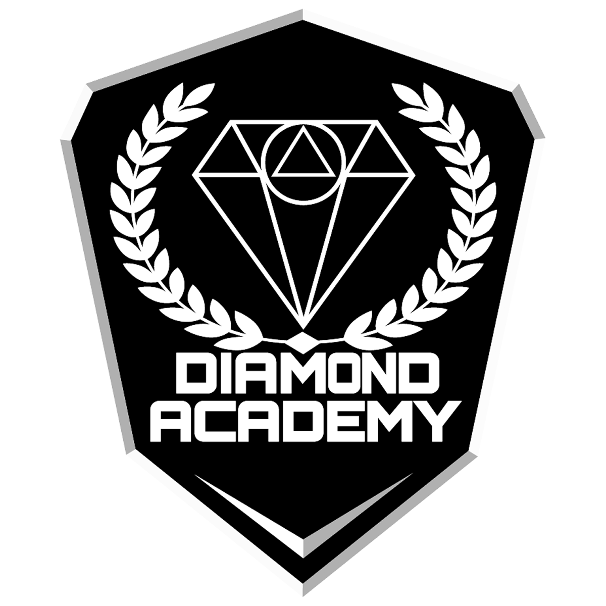 Diamond Academy Team Store