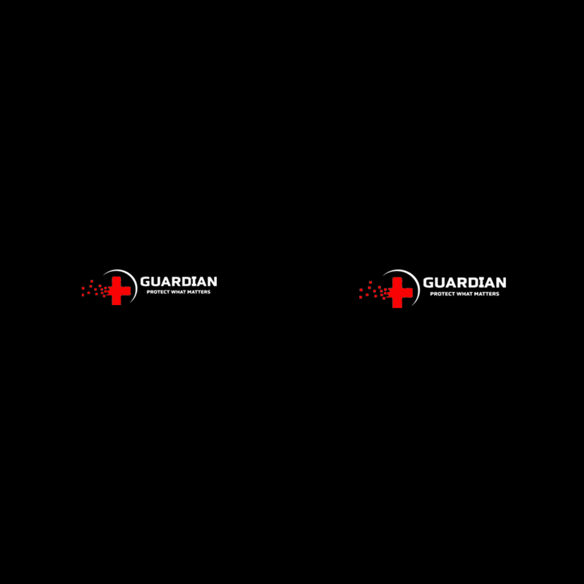 Guardian VE Team Store