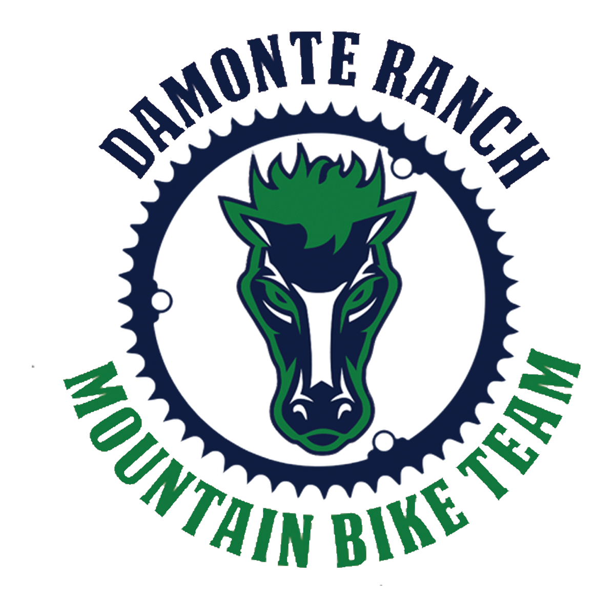 Damonte Ranch Mountain Bike Team Store