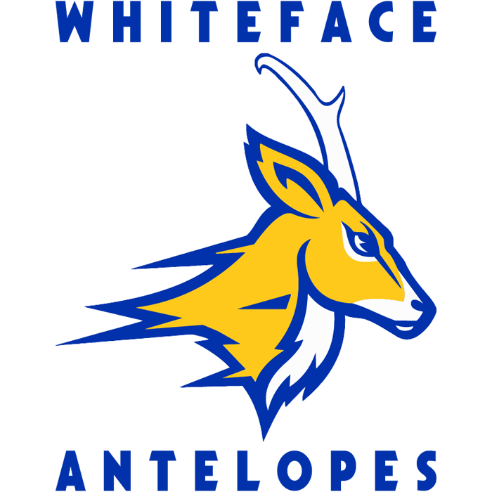 Whiteface Antelopes High School Team Store