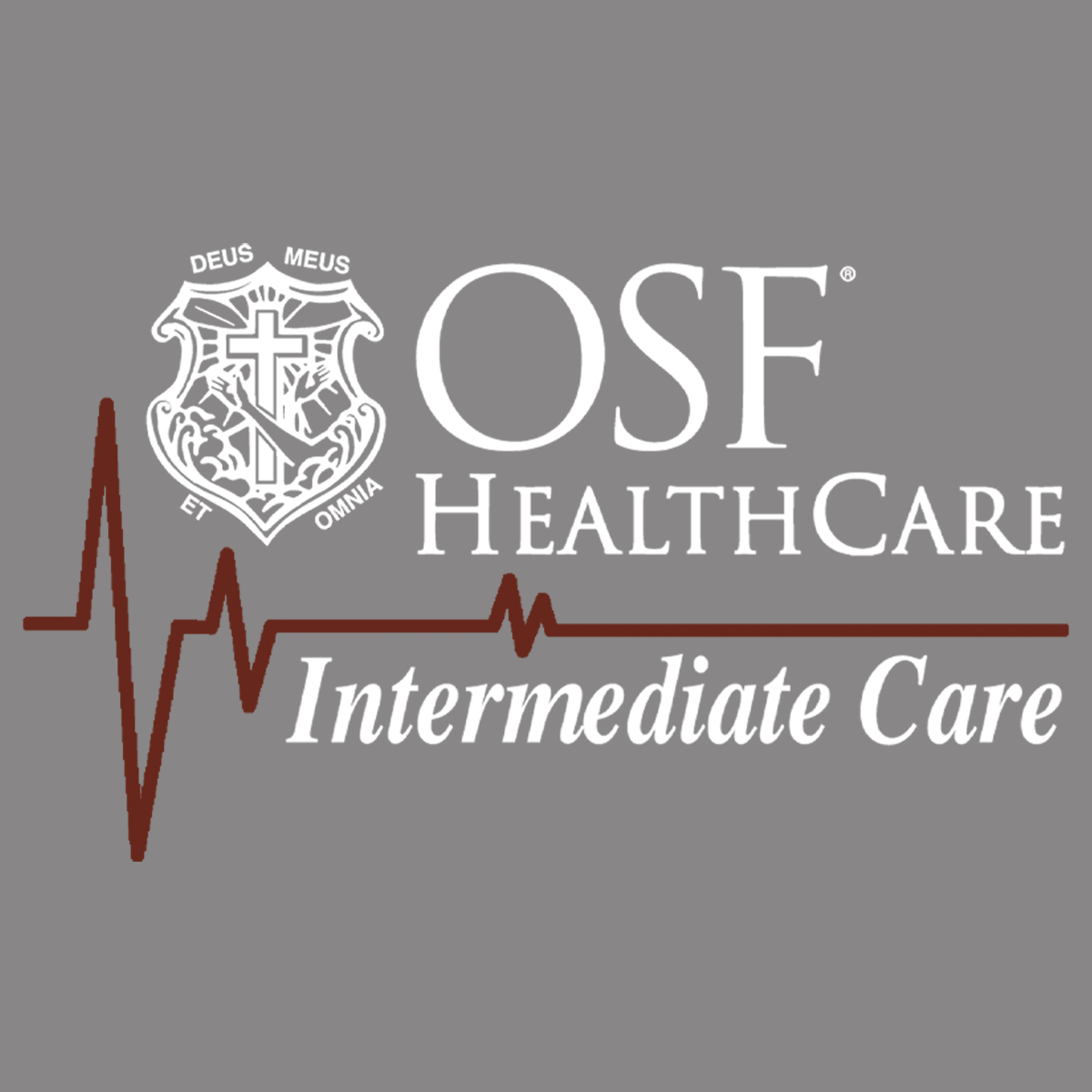 OSF Healthcare IMCU Team Store