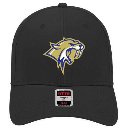Waterford Sabercats Football Flex-Fit Hat
