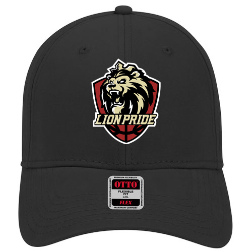 Delaware Pride Lions Basketball Flex-Fit Hat