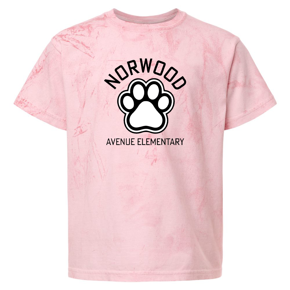 Norwood Ave. Elementary School Colorblast Heavyweight T-Shirt