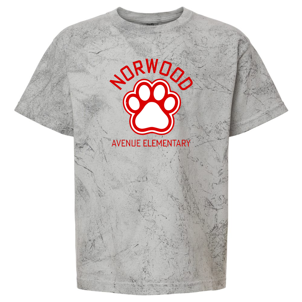 Norwood Ave. Elementary School Colorblast Heavyweight T-Shirt