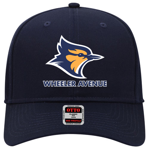 Wheeler Avenue School Cap