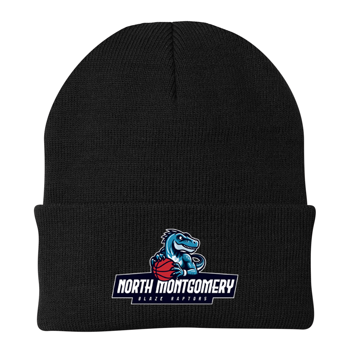 Blaze Raptors Basketball Knit Beanie