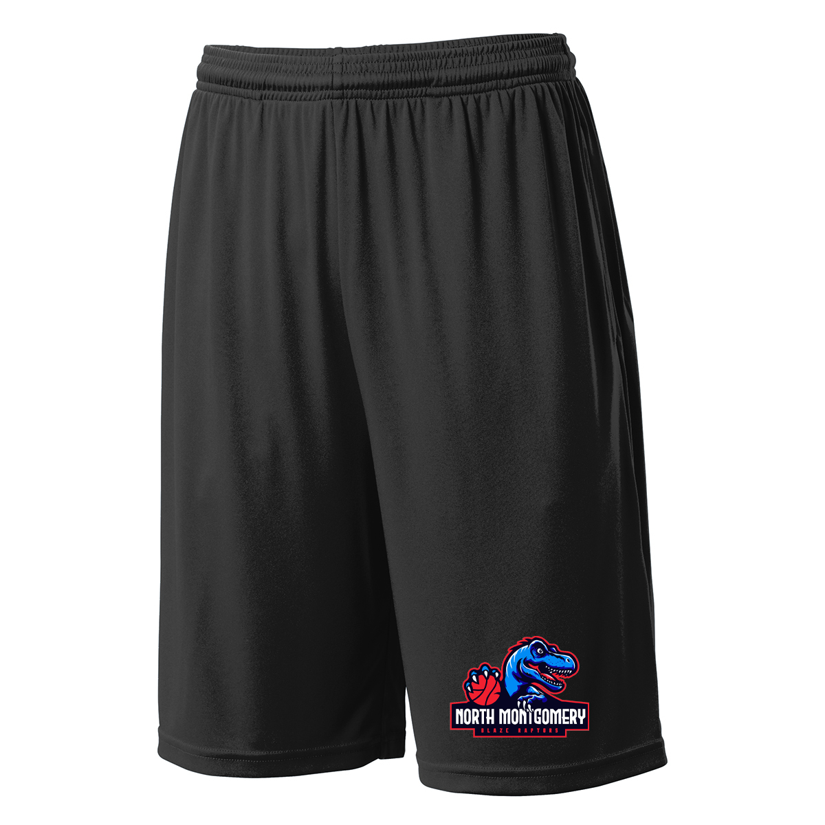 Blaze Raptors Basketball Shorts