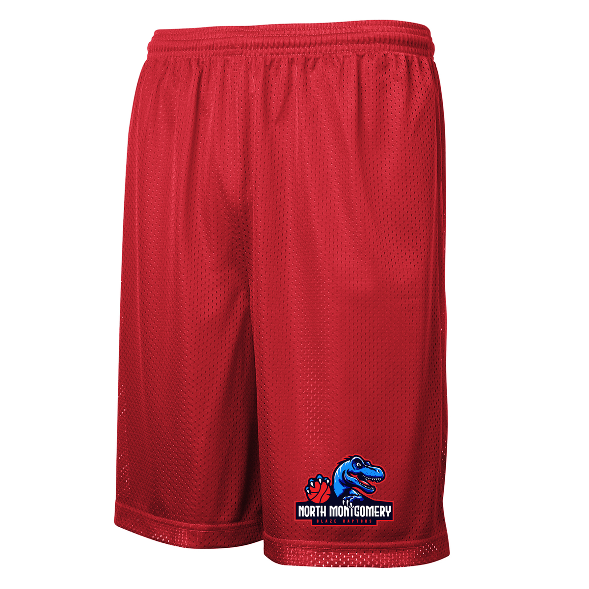 Blaze Raptors Basketball Classic Mesh Shorts