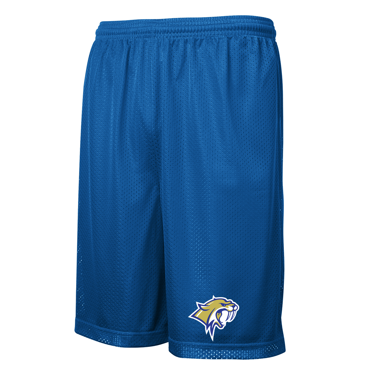 Waterford Sabercats Football Classic Mesh Shorts