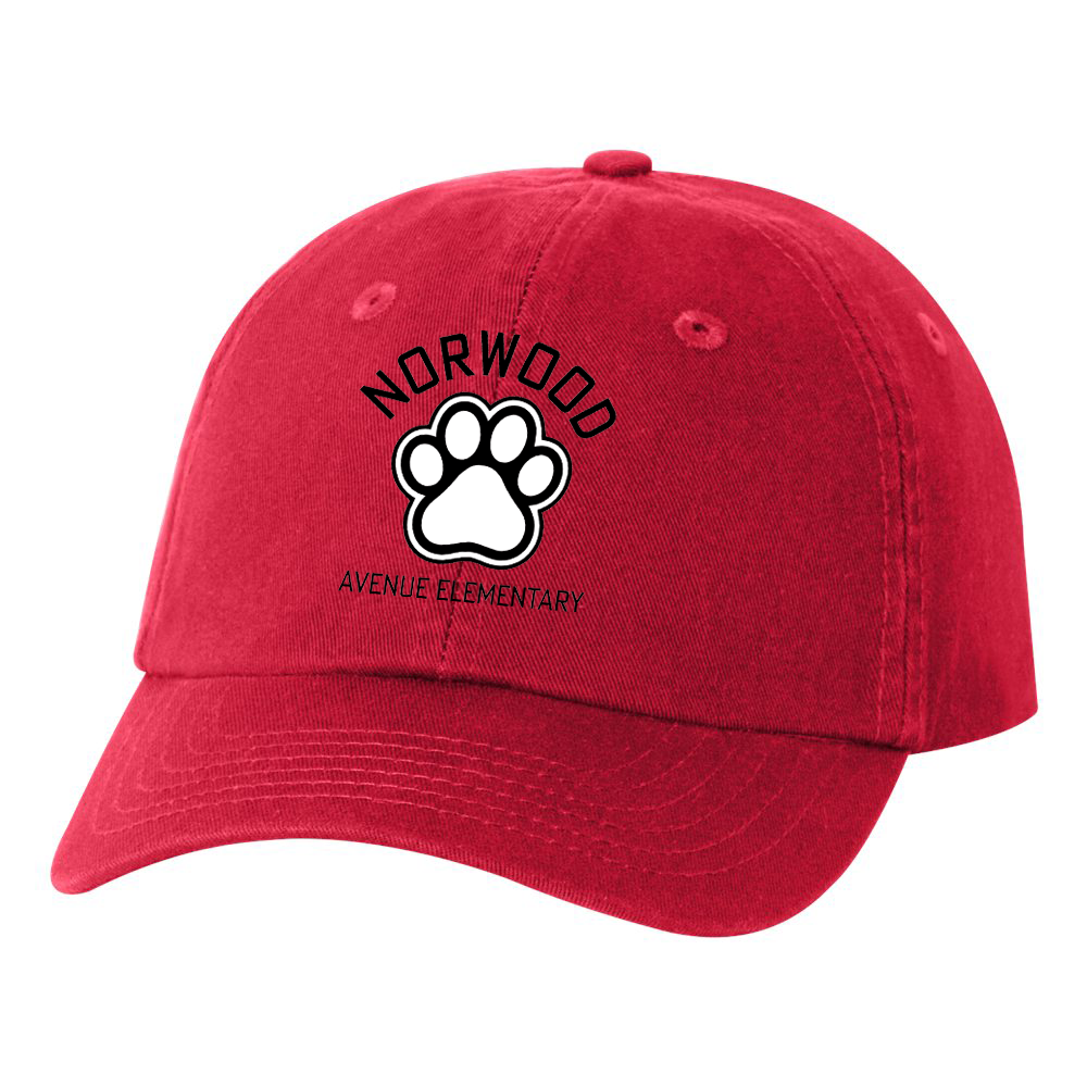 Norwood Ave. Elementary School Small Fit Bio-Washed Dad's Cap