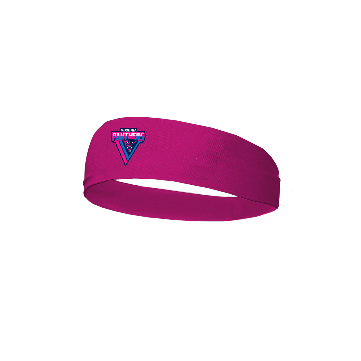 Virginia Panthers Headband