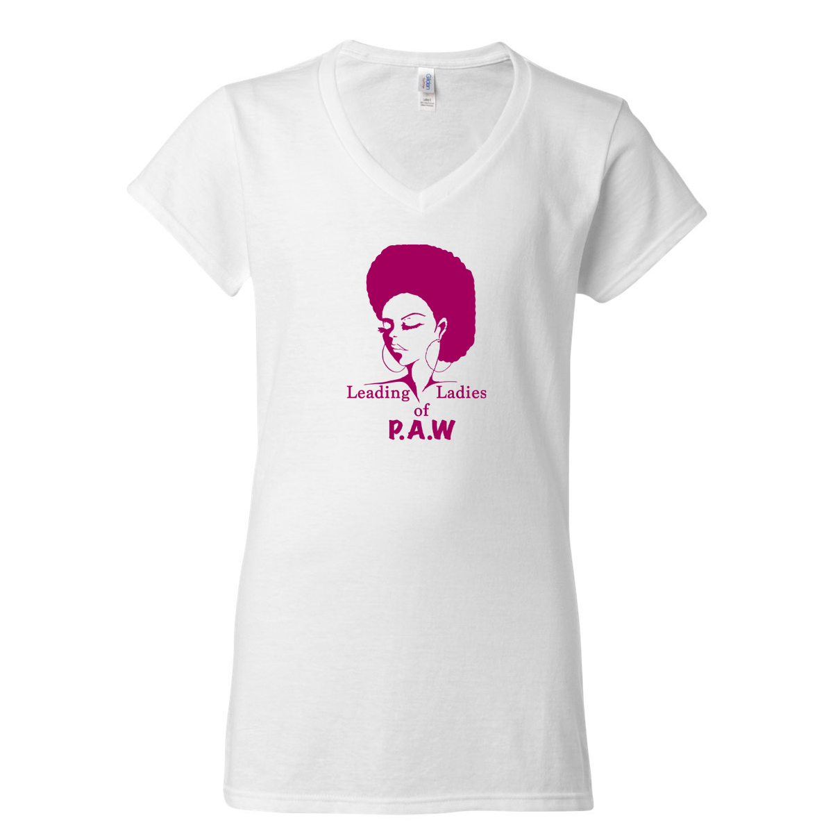 Leading Ladies of P.A.W. Softstyle Women's V-Neck T-Shirt