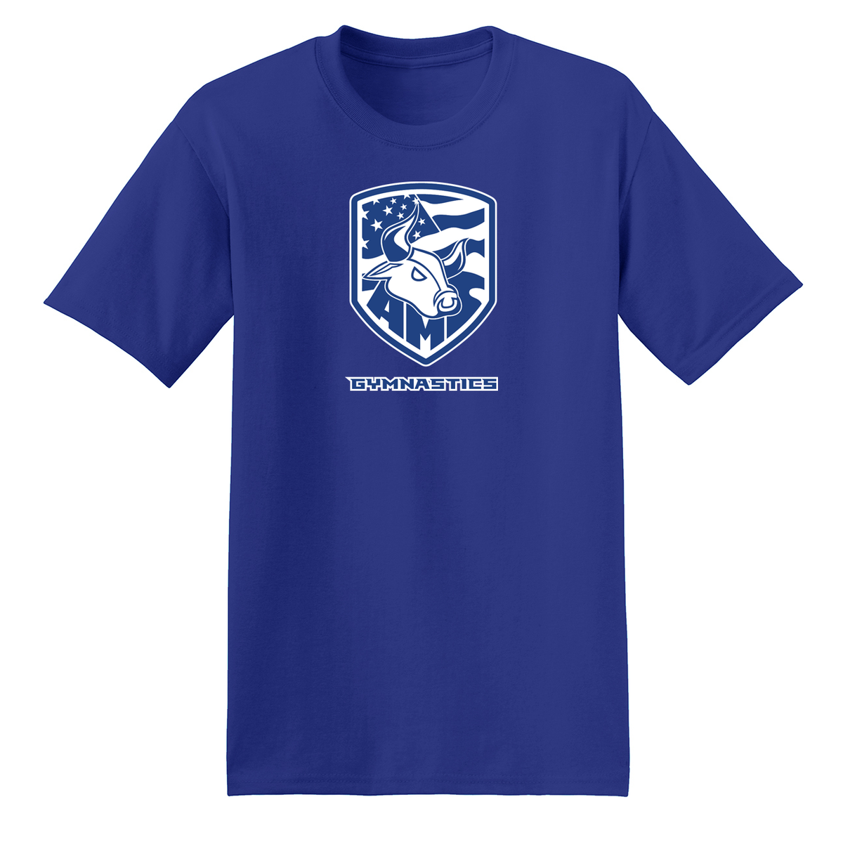 Accompsett Gymnastics T-Shirt