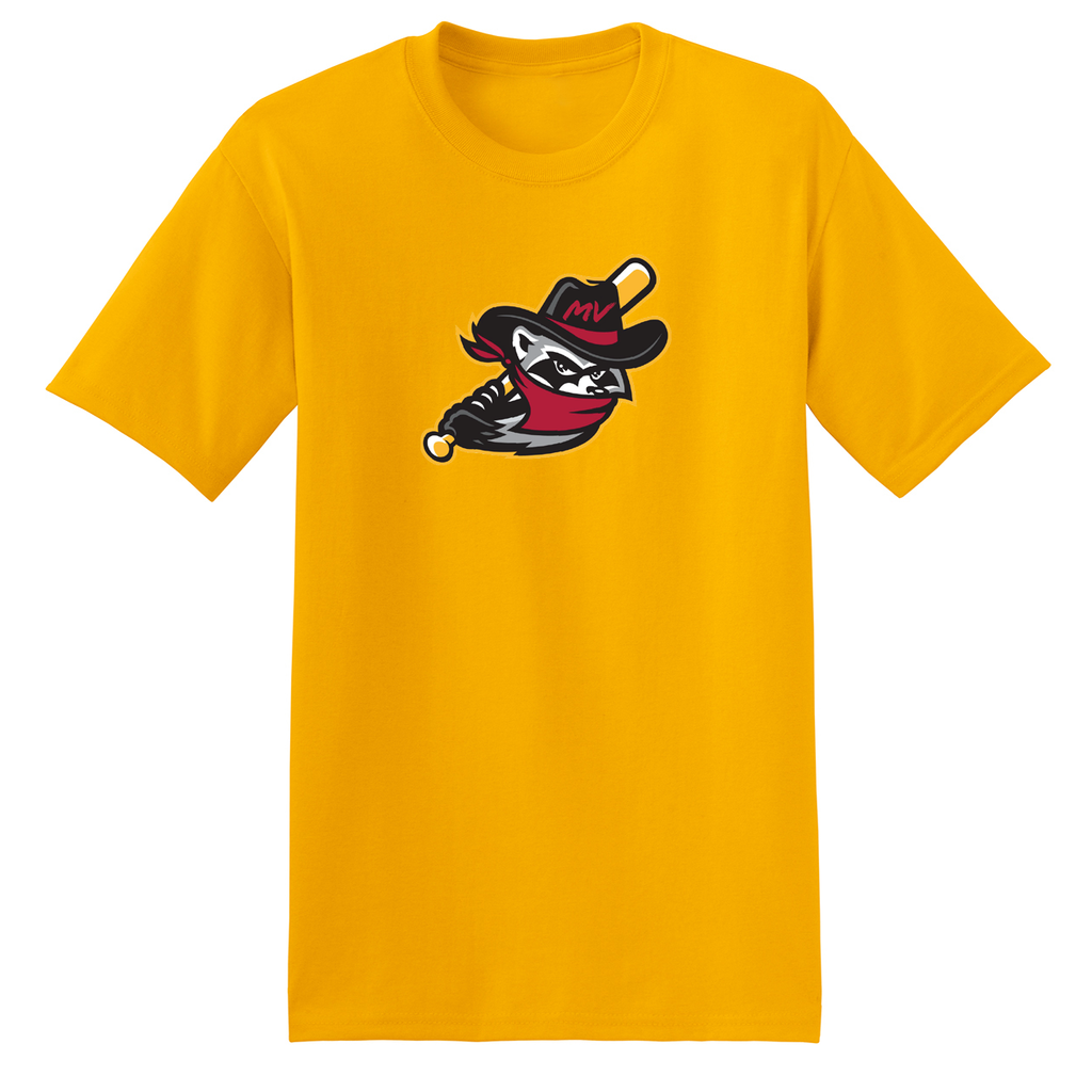 Youth Primary Logo T-Shirt – Quad Cities River Bandits Team Store