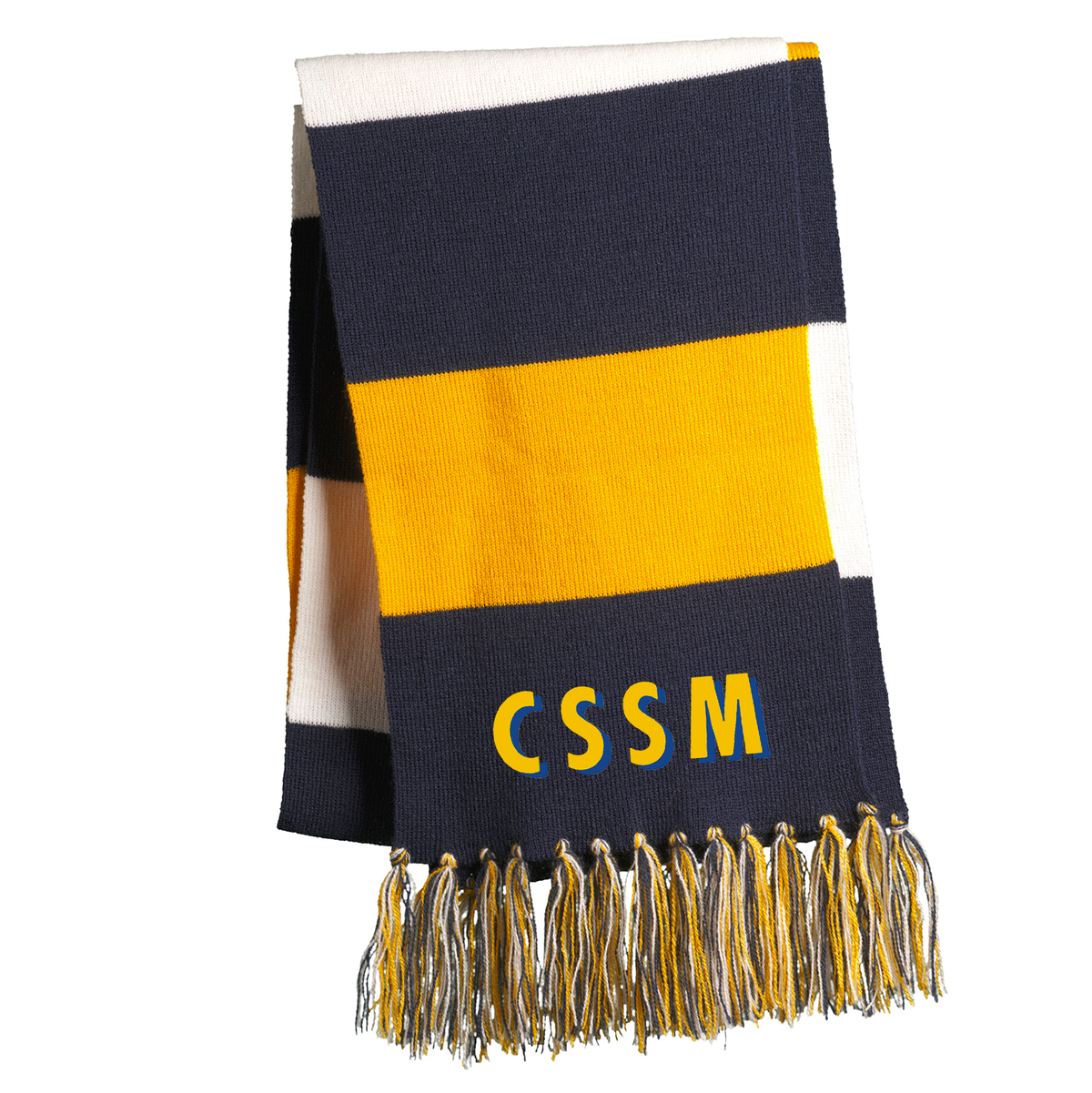Cleveland School of Science and Medicine Team Scarf