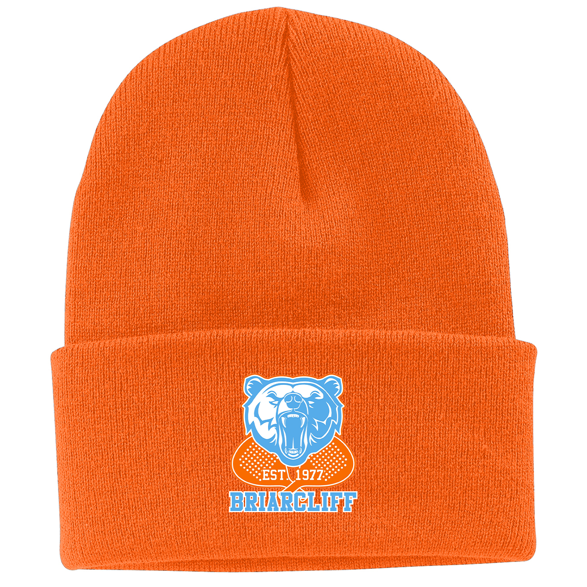 Briarcliff Paddle Knit Beanie