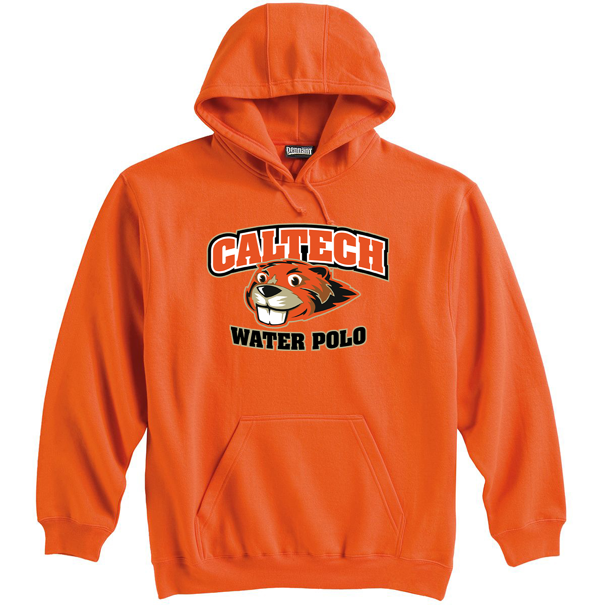 Polo pennant sweatshirt clearance