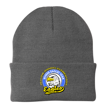 Yellow Springs Elementary School Knit Beanie