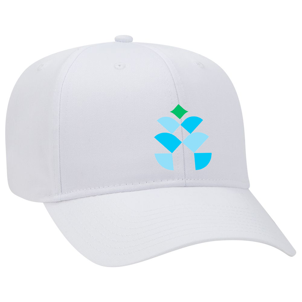 Mary Lee Foundation Cap