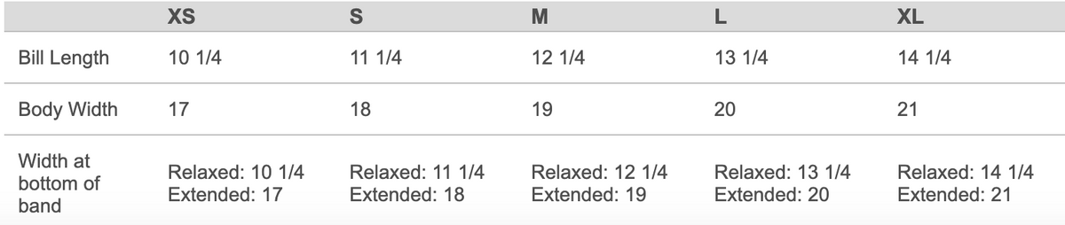 Elite Dance Studio Champion Sports Bra